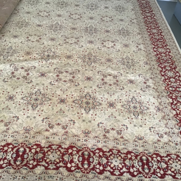 1223 - Pak/Persian Style Oriental Rug - 9x12